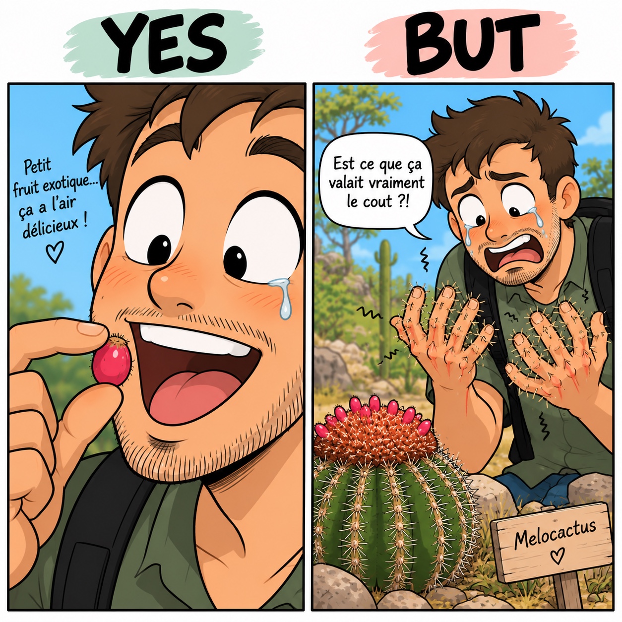 Le fruit exotique… qui pique longtemps