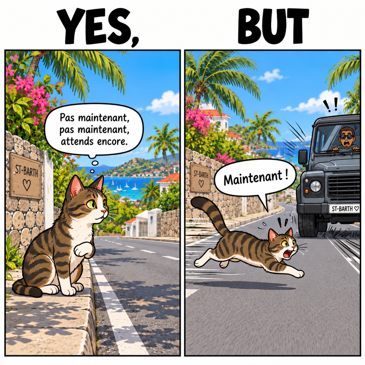 Le chat qui attend… jusqu’au dernier moment
