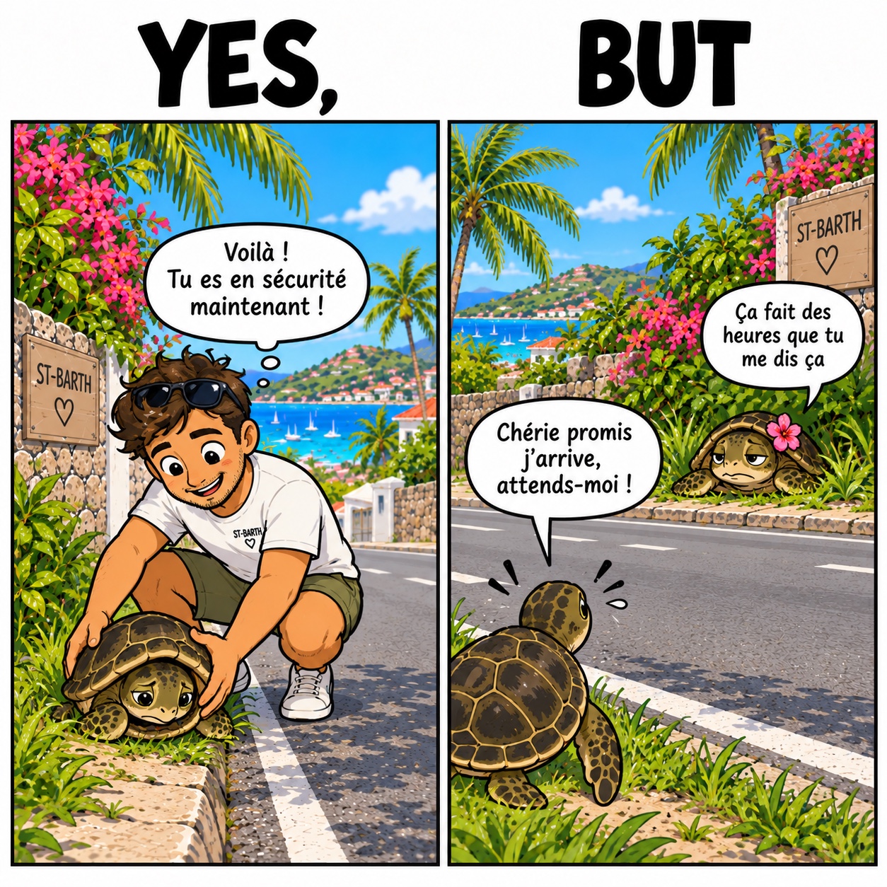 La tortue remise en sécurité… depuis des heures