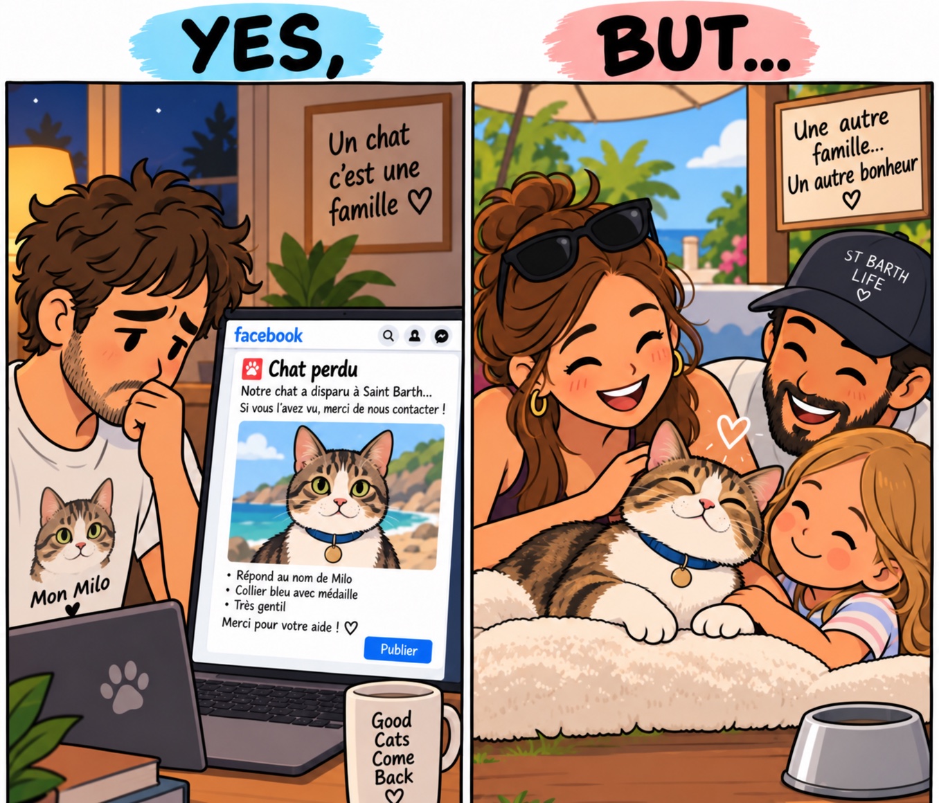 Le chat perdu… qui a trouvé une nouvelle famille