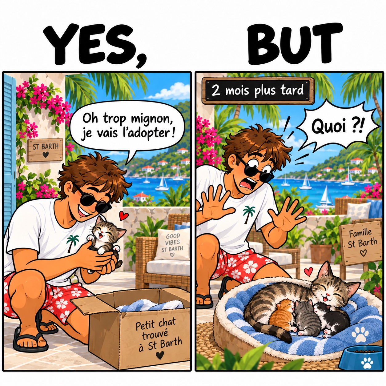 Le petit chat adopté… et sa portée surprise