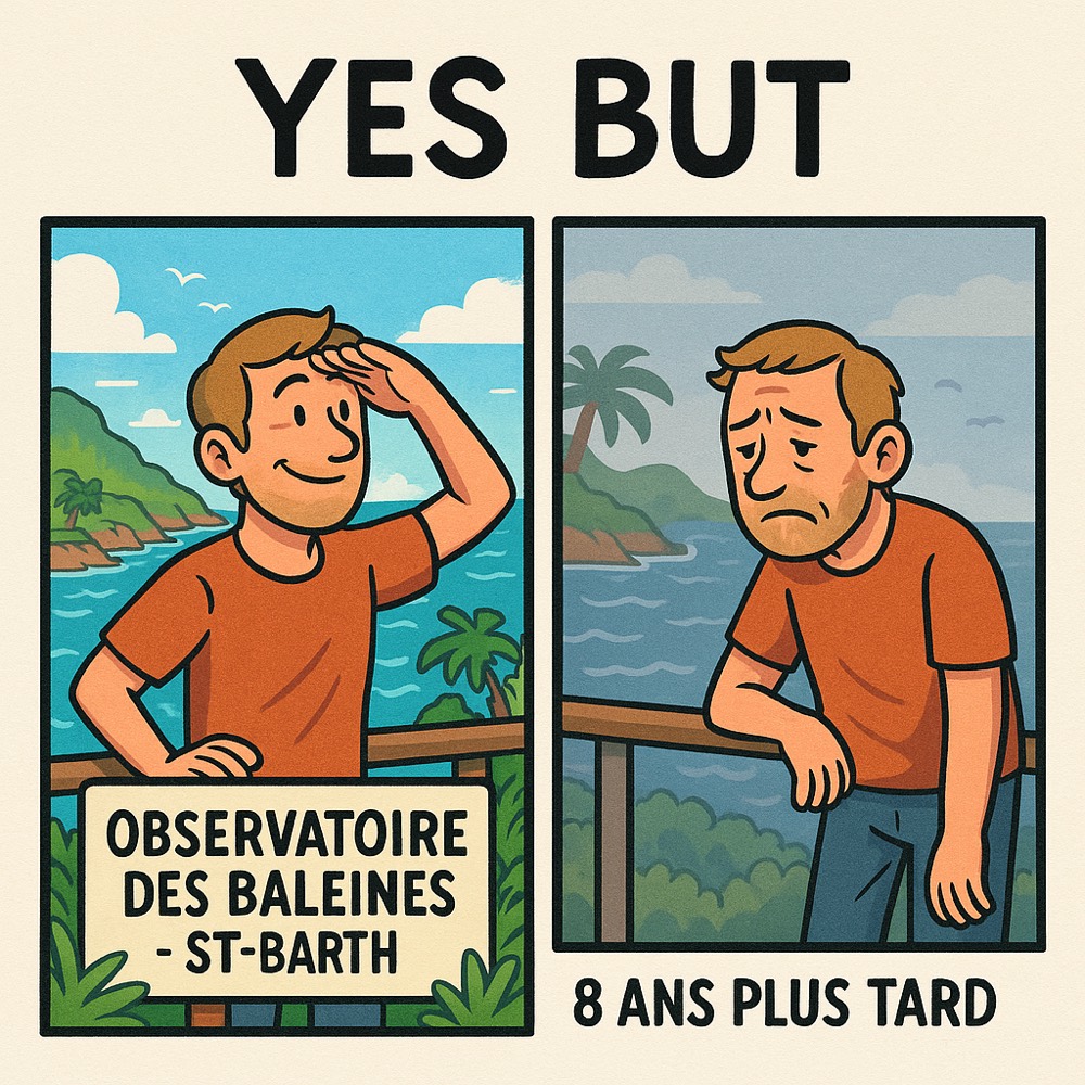 "Observatoire des baleines", oui… mais faut avoir beaucoup de chance !