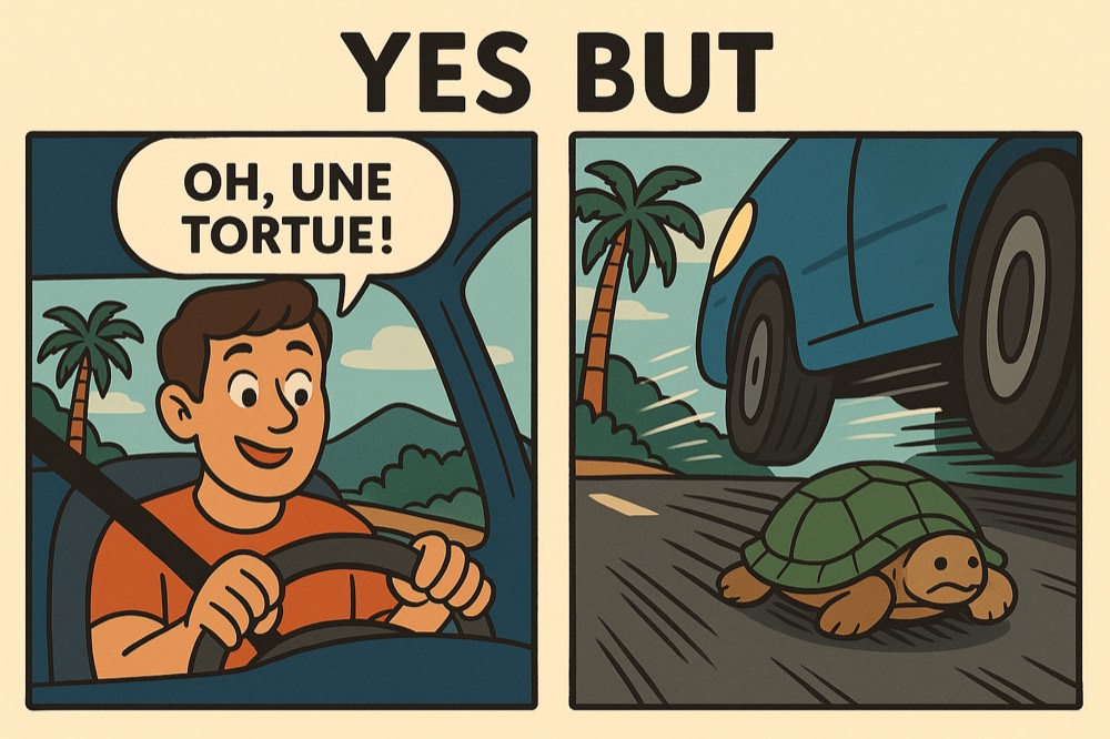 tu t’arrêtes pour une tortue… mais d’autres essaient de la contourner à toute vitesse